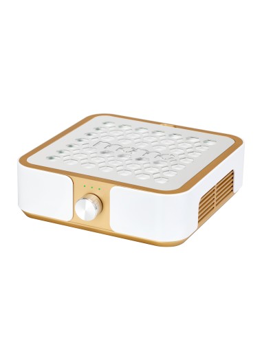 Dust absorber Momo P30 60W white gold