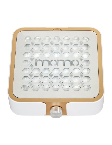 Dust absorber Momo P30 60W white gold
