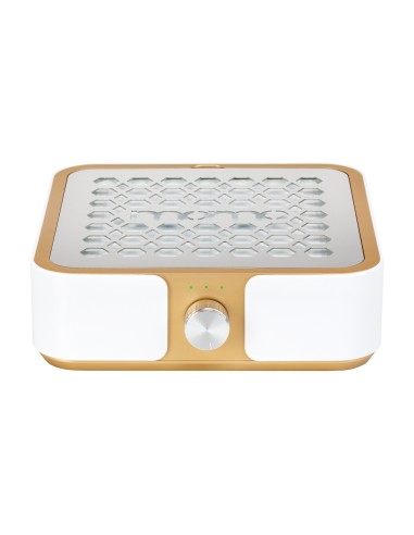 Dust absorber Momo P30 60W white gold