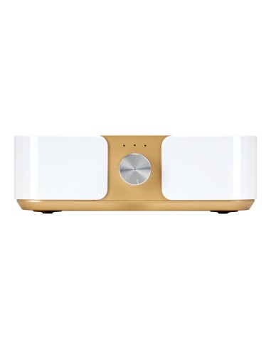 Dust absorber Momo P30 60W white gold