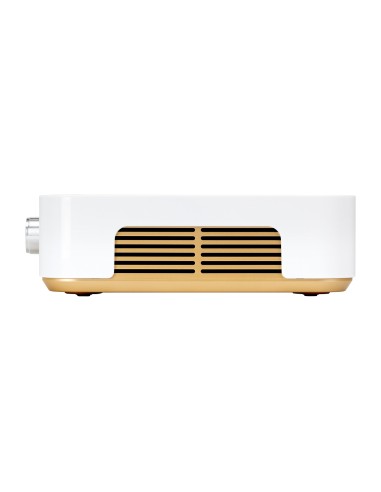 Dust absorber Momo P30 60W white gold