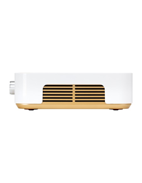 Dust absorber Momo P30 60W white gold