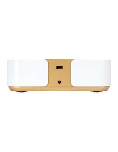 Dust absorber Momo P30 60W white gold