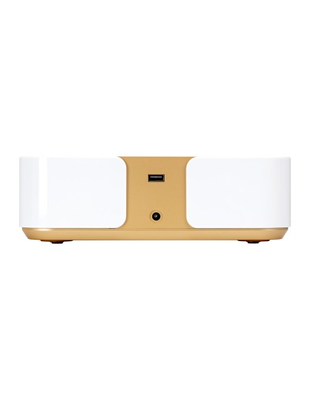 Dust absorber Momo P30 60W white gold