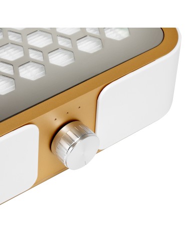 Dust absorber Momo P30 60W white gold