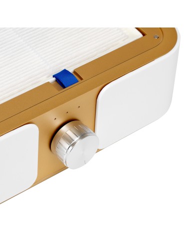 Dust absorber Momo P30 60W white gold