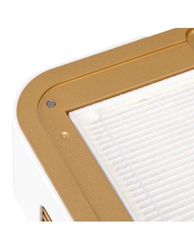 Dust absorber Momo P30 60W white gold