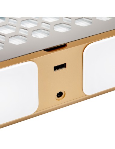 Dust absorber Momo P30 60W white gold