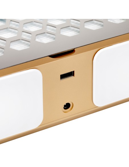 Dust absorber Momo P30 60W white gold