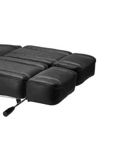 Pro Ink Tattoo bed 3710