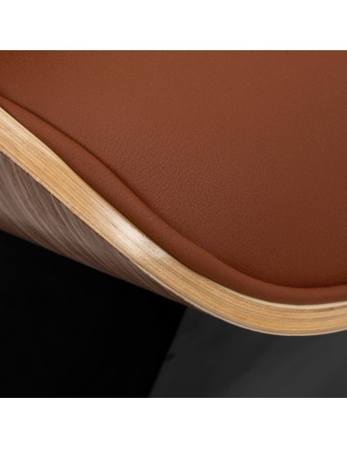 Salon washbasin unit Gabbiano Florencja brown