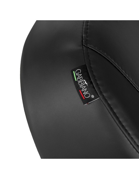 Electric hair wash unit Gabbiano Trycho 2 black