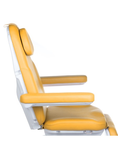 Electric Beauty Chair MODENA BD-8194 Honey | Ireland