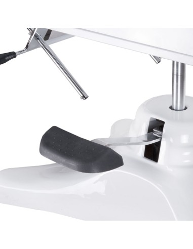 Hydraulic Beauty Chair BD-8222 Professional Salon Treatment White | Bella Furniture Ireland