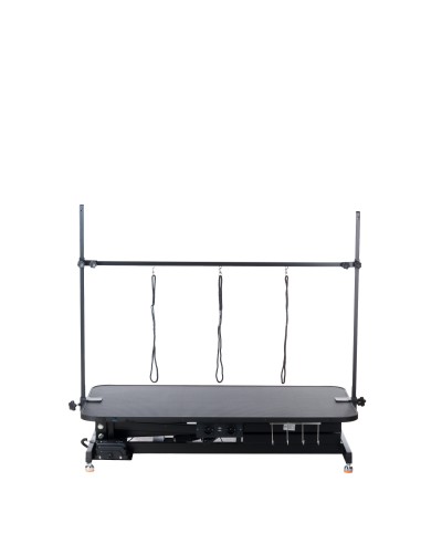 Electric Grooming Table XL BP-305 Black | Ireland