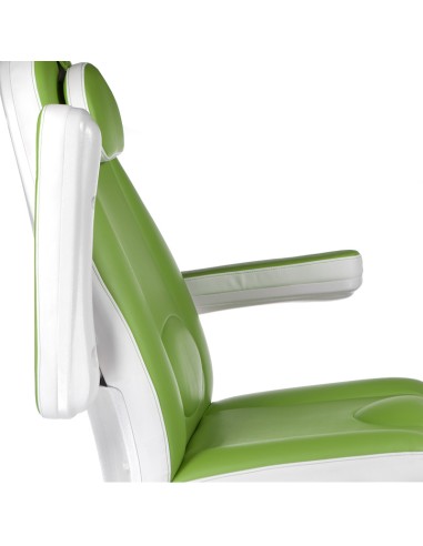 Mazaro BR-6672C Green Electric Beauty Chair | Bella Furniture Ireland