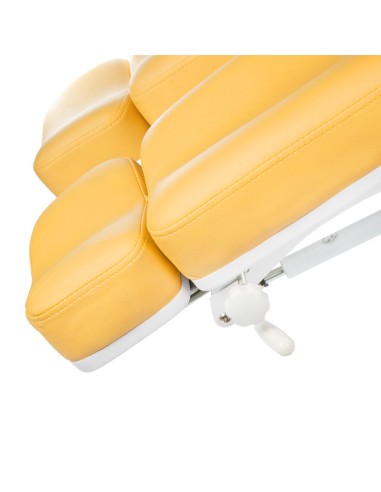 Mazaro BR-6672C Honey Electric Beauty Chair | Bella Furniture Ireland