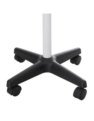 Professional Facial Steamer with Ozone & UV NG-FSM002 | Ireland