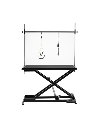 Electric grooming table PAW 1 black