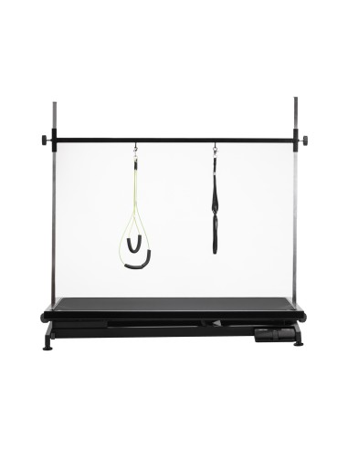 Electric grooming table PAW 1 black