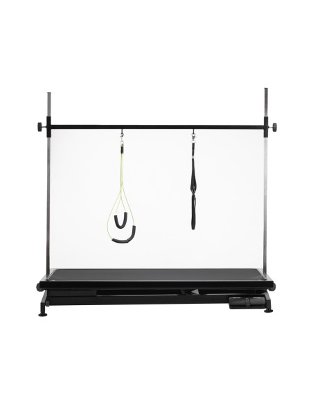 Electric grooming table PAW 1 black