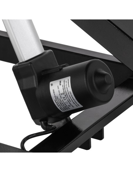 Electric grooming table PAW 1 black