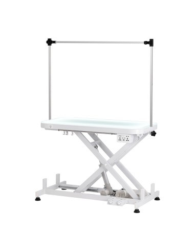 Electric grooming table PAW 3 with lighting, white
