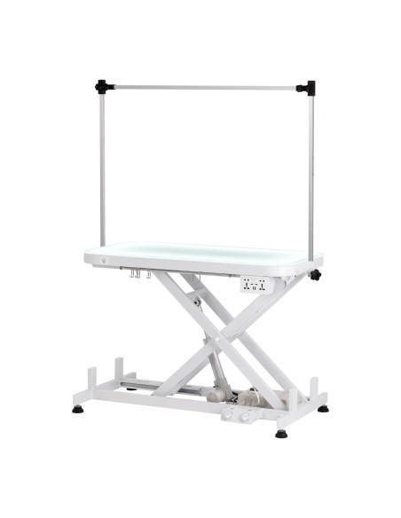 Electric grooming table PAW 3 with lighting, white
