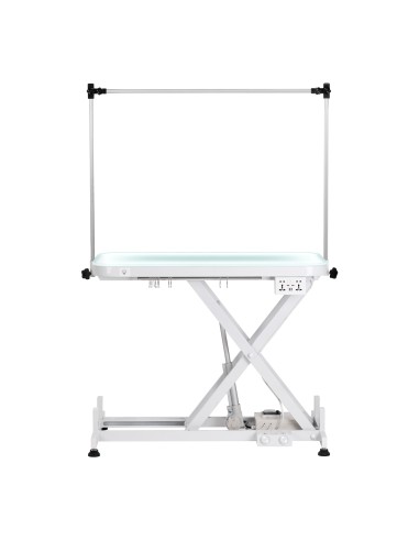 Electric grooming table PAW 3 with lighting, white