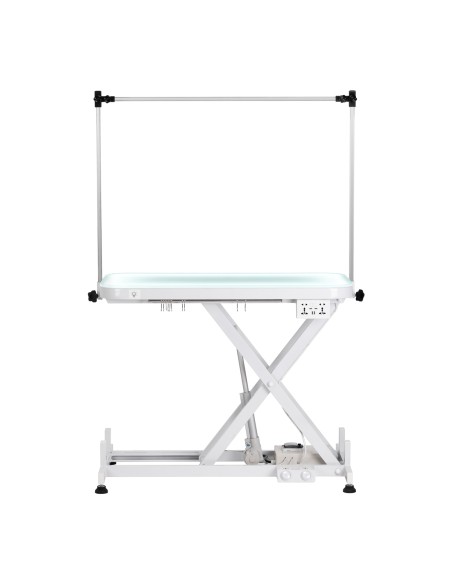 Electric grooming table PAW 3 with lighting, white