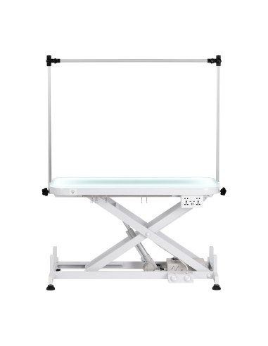 Electric grooming table PAW 3 with lighting, white