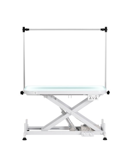 Electric grooming table PAW 3 with lighting, white