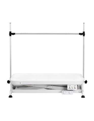 Electric grooming table PAW 3 with lighting, white