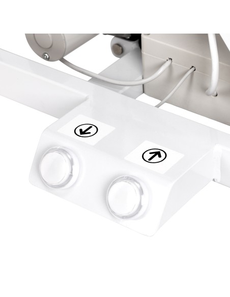 Electric grooming table PAW 3 with lighting, white