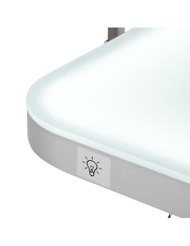 Electric grooming table PAW 3 with lighting, white