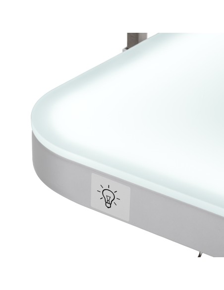 Electric grooming table PAW 3 with lighting, white