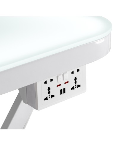Electric grooming table PAW 3 with lighting, white