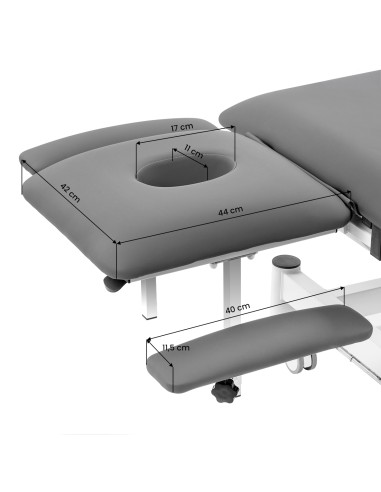 Electric Rehabilitation Table for Massage and Physiotherapy Balance Eso Pro grey