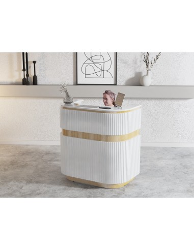 Salon Reception Desk - R252