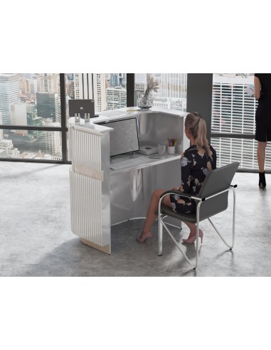 Salon Reception Desk - R252