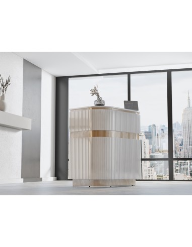 Salon Reception Desk - R252
