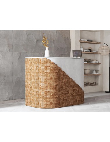 Salon Reception Desk - R268