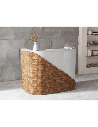 Salon Reception Desk - R268